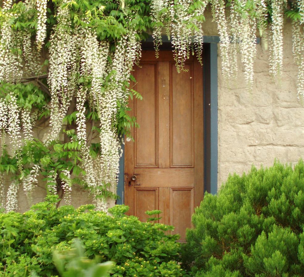 Bed and Breakfast Muddy Creek Cutting Lauder Екстер'єр фото